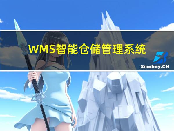 WMS智能仓储管理系统的相关图片