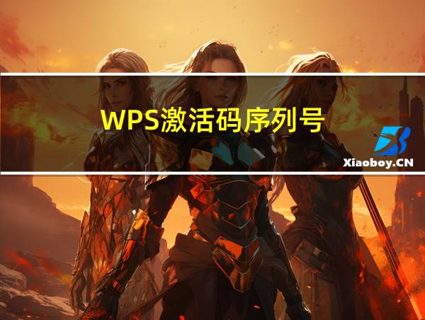 WPS激活码序列号的相关图片