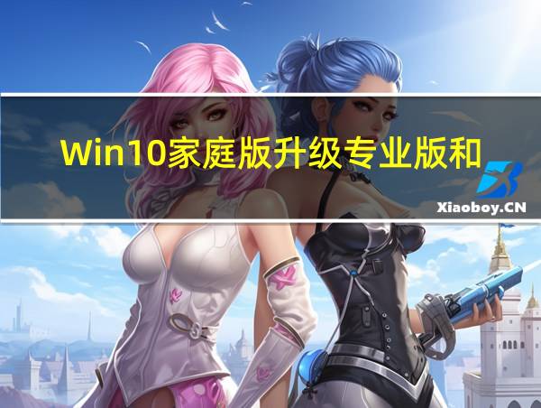 Win10家庭版升级专业版和win10专业版的区别的相关图片