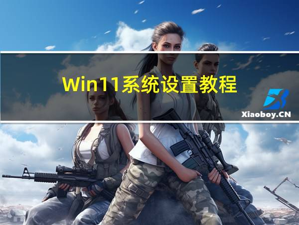 Win11系统设置教程的相关图片