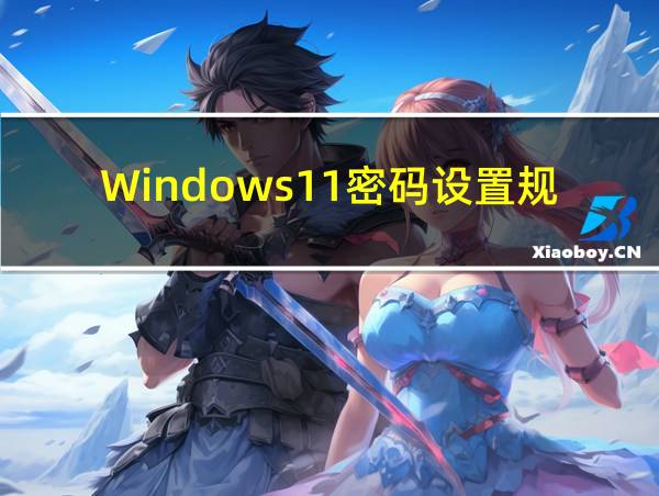 Windows11密码设置规则的相关图片