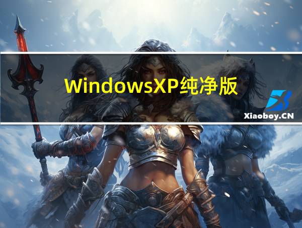 WindowsXP纯净版的相关图片