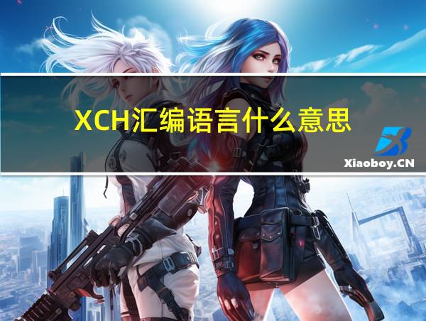 XCH汇编语言什么意思的相关图片