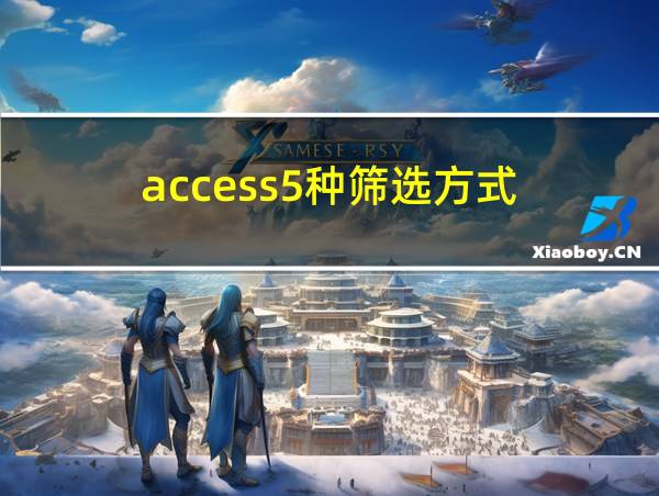 access5种筛选方式的相关图片