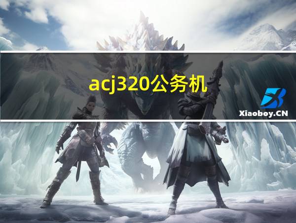 acj320公务机的相关图片