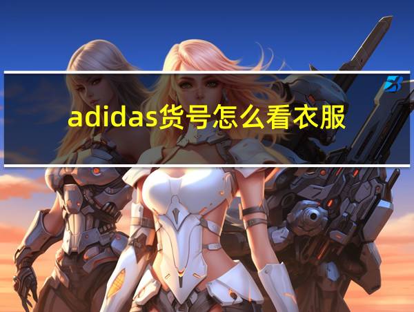 adidas货号怎么看衣服的相关图片