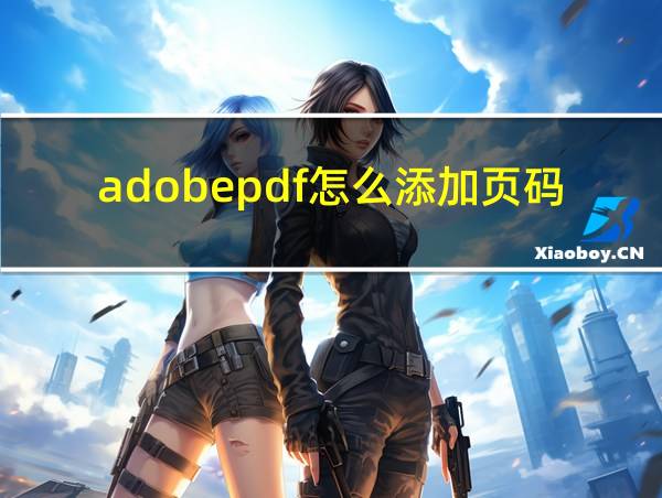 adobepdf怎么添加页码的相关图片