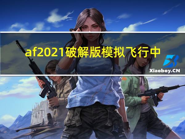 af2021破解版模拟飞行中文版的相关图片