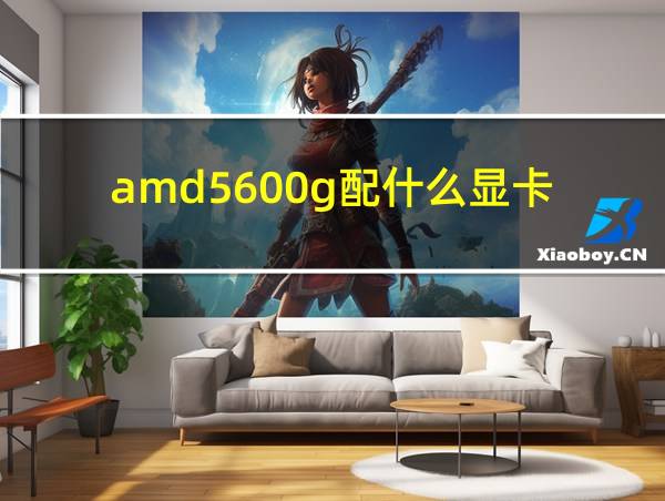 amd5600g配什么显卡的相关图片