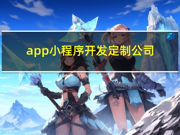 app小程序开发定制公司的相关图片