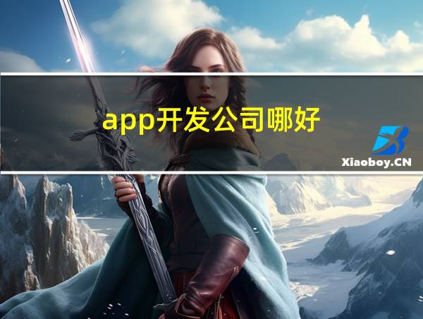 app开发公司哪好?的相关图片