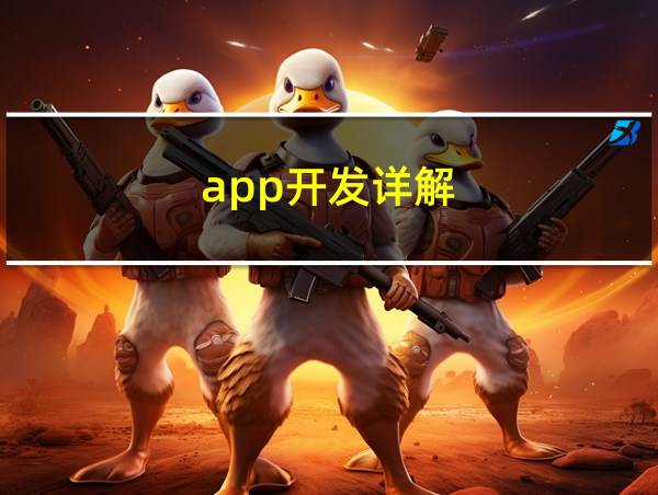 app开发详解的相关图片