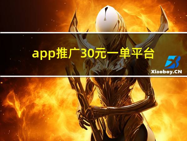 app推广30元一单平台的相关图片