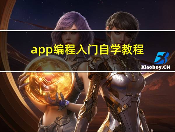 app编程入门自学教程的相关图片