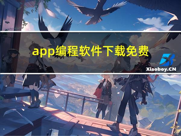 app编程软件下载免费的相关图片