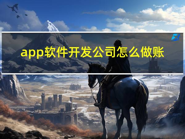 app软件开发公司怎么做账的相关图片