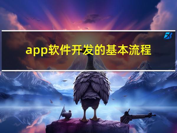 app软件开发的基本流程的相关图片