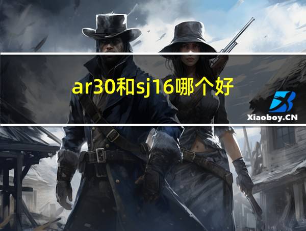 ar30和sj16哪个好的相关图片