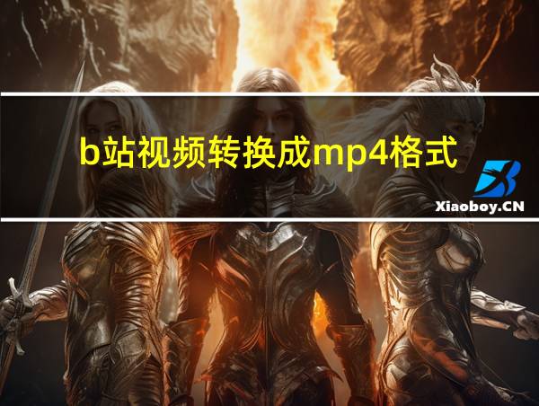 b站视频转换成mp4格式的相关图片