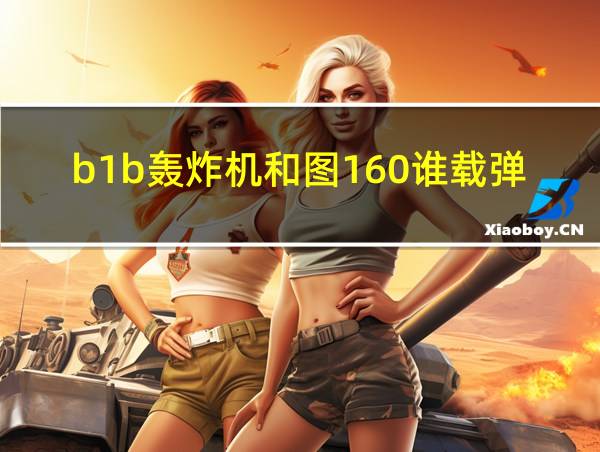 b1b轰炸机和图160谁载弹量多的相关图片