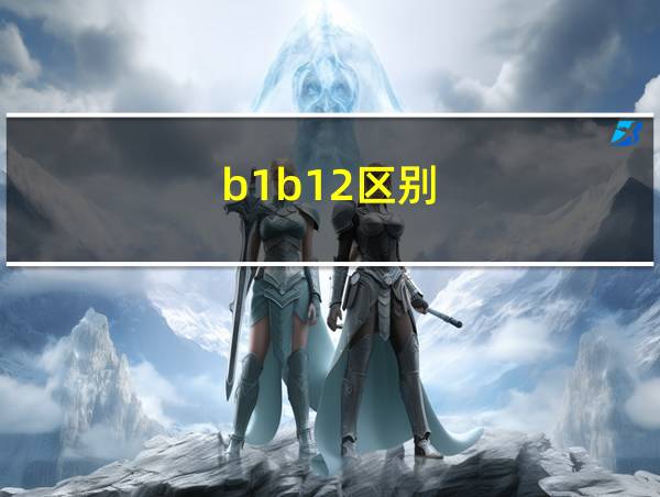 b1b12区别的相关图片