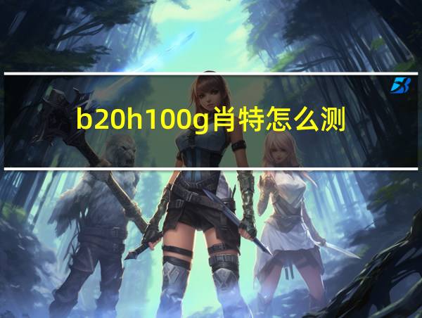 b20h100g肖特怎么测的相关图片