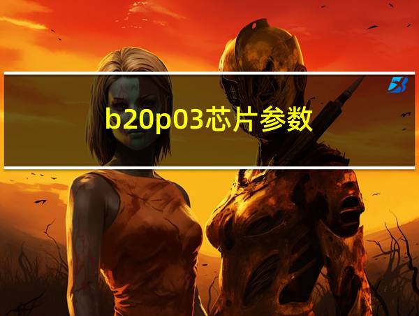 b20p03芯片参数的相关图片