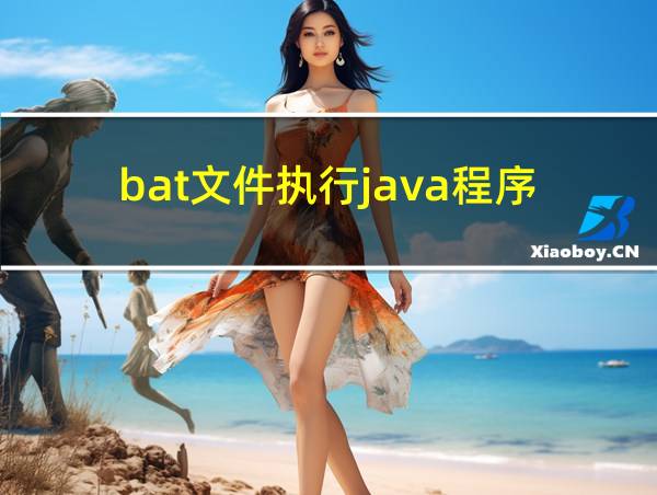 bat文件执行java程序的相关图片