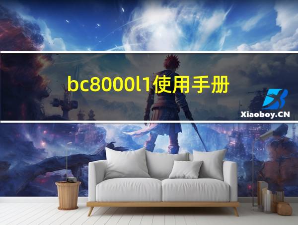 bc8000l1使用手册的相关图片