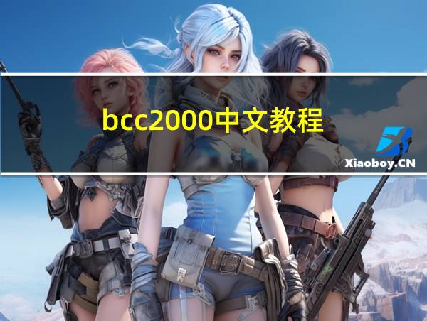 bcc2000中文教程的相关图片