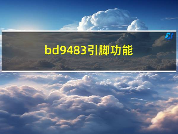 bd9483引脚功能的相关图片