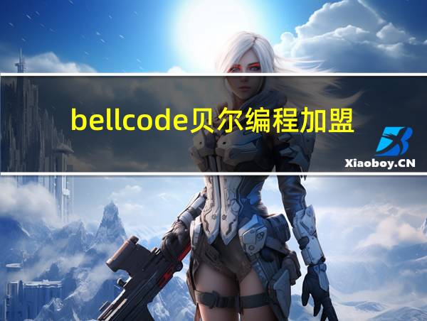 bellcode贝尔编程加盟的相关图片