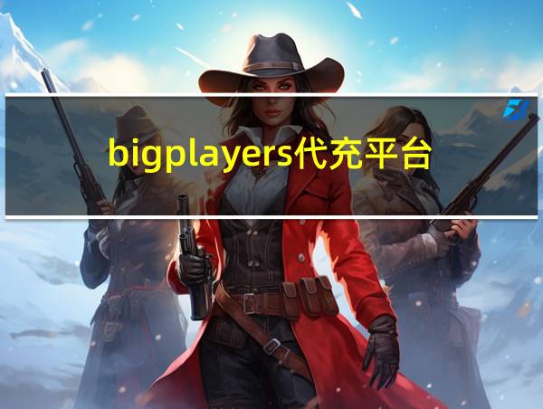 bigplayers代充平台的相关图片