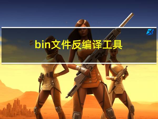 bin文件反编译工具的相关图片