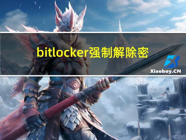 bitlocker强制解除密码的相关图片