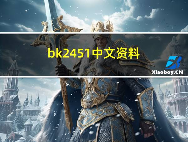 bk2451中文资料的相关图片