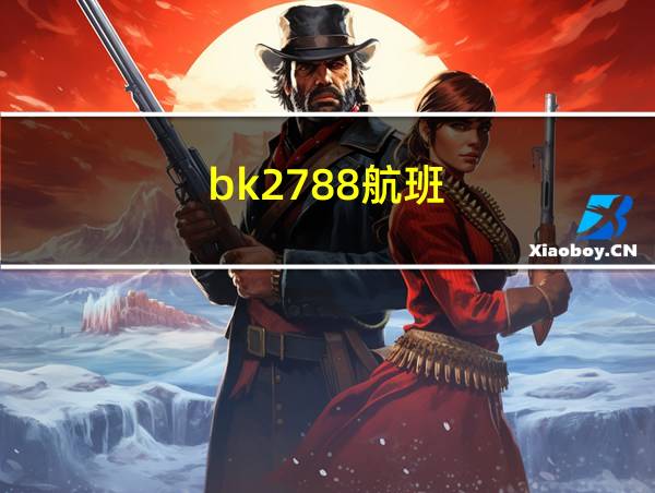 bk2788航班的相关图片