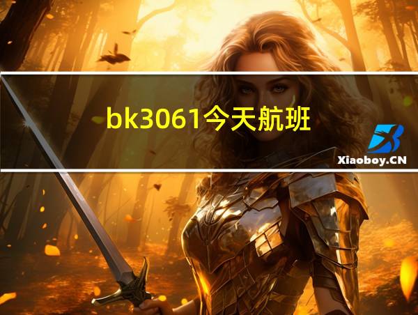 bk3061今天航班的相关图片