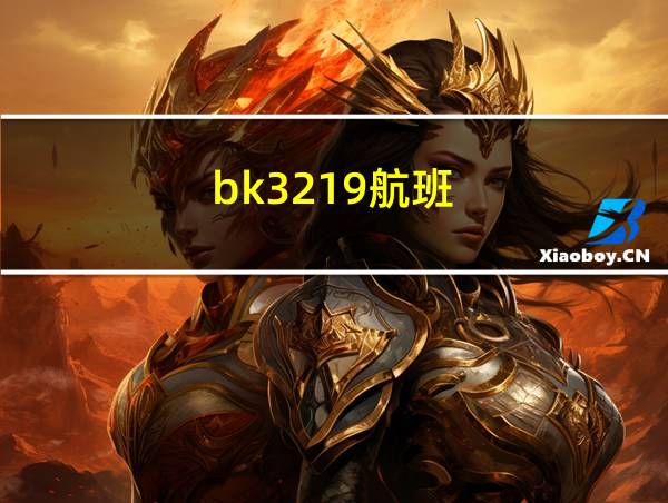 bk3219航班的相关图片