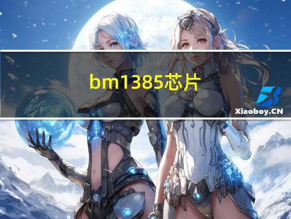 bm1385芯片的相关图片