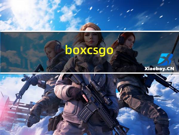 boxcsgo的相关图片