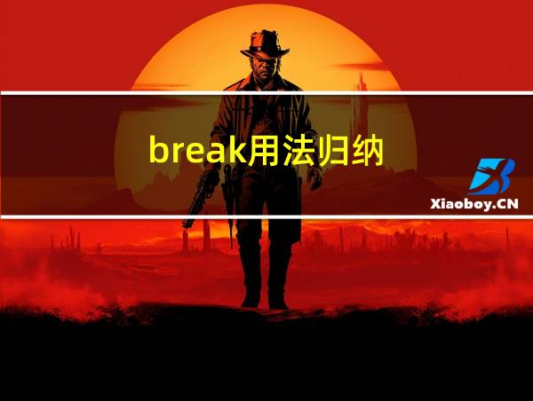 break用法归纳的相关图片