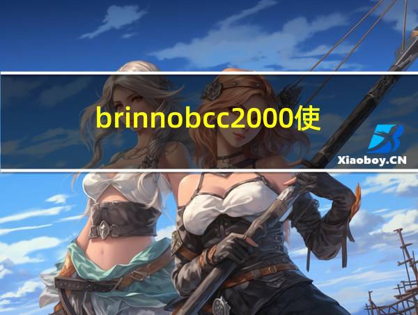 brinnobcc2000使用指南的相关图片