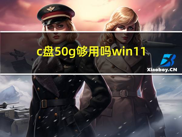 c盘50g够用吗win11的相关图片