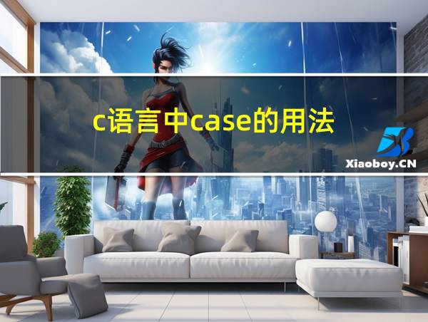 c语言中case的用法的相关图片