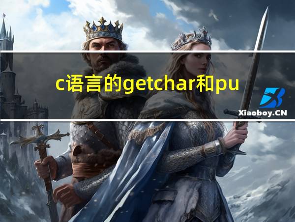 c语言的getchar和putchar的相关图片