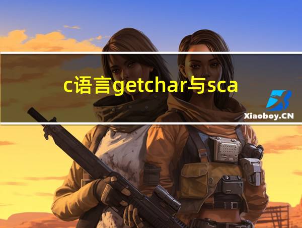 c语言getchar与scanf区别的相关图片