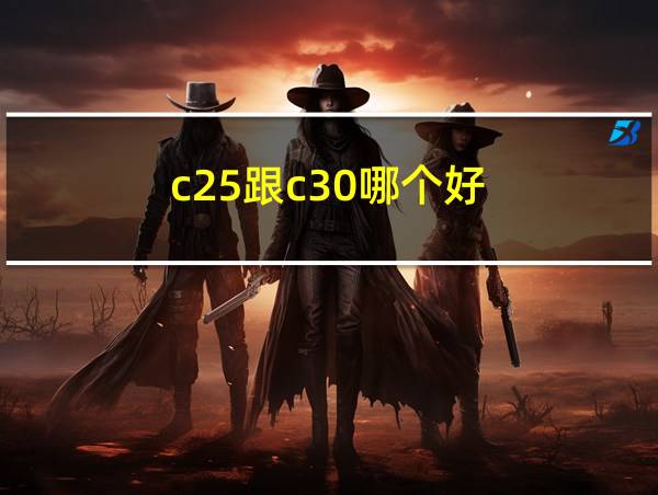 c25跟c30哪个好的相关图片