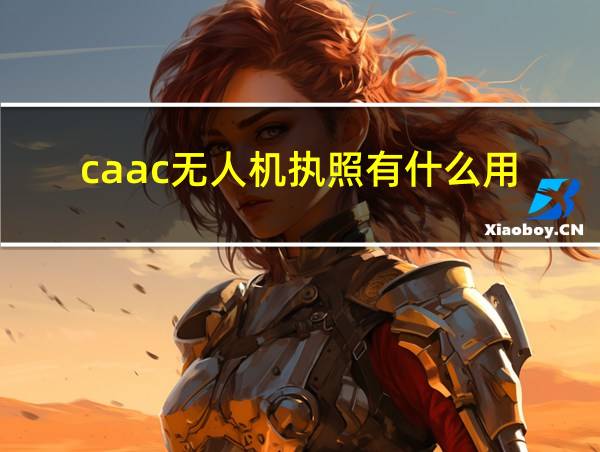 caac无人机执照有什么用的相关图片