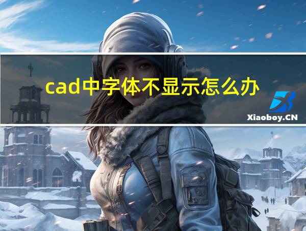 cad中字体不显示怎么办的相关图片